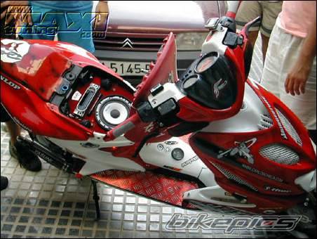 Photo 300752