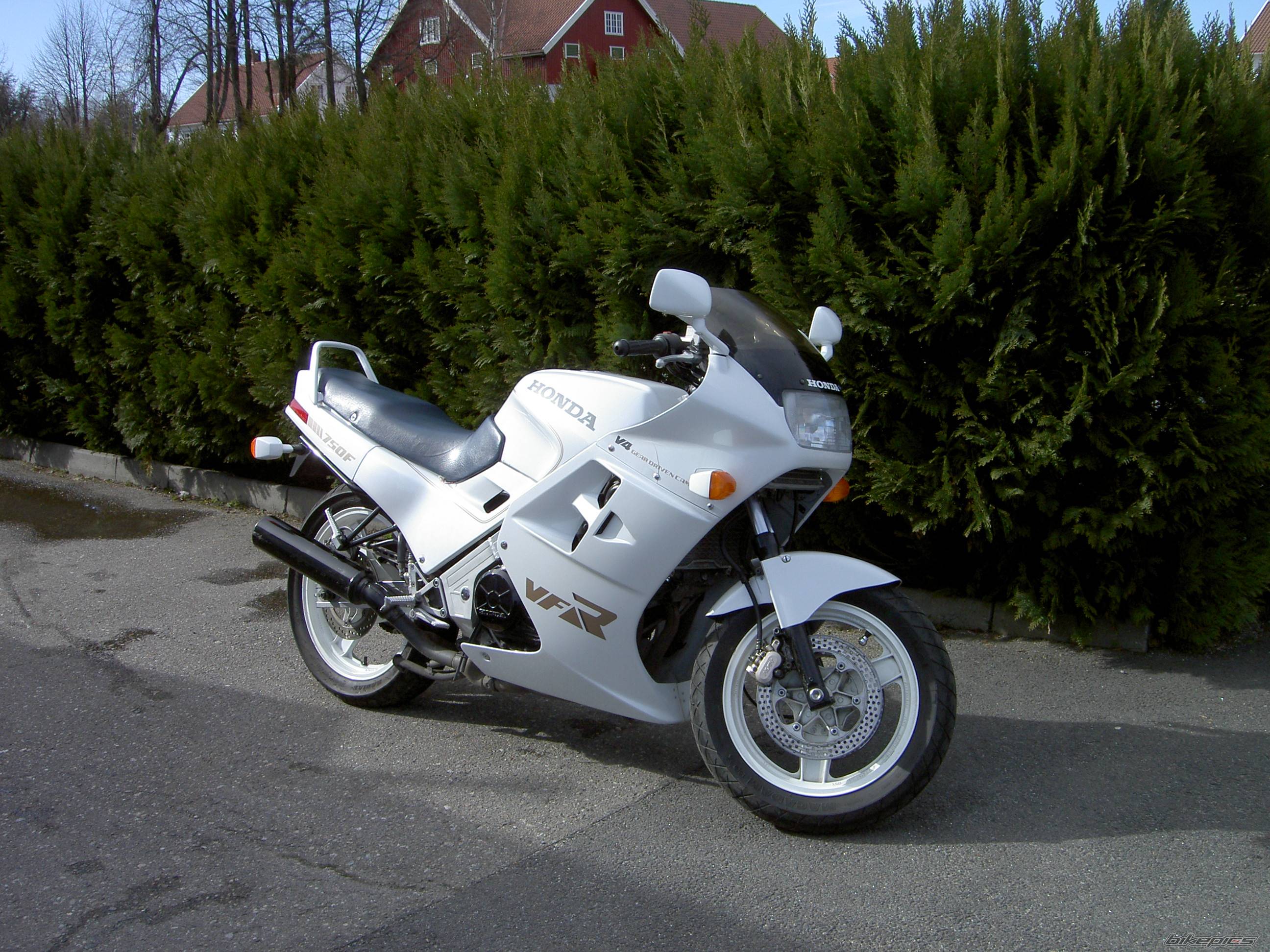 Photo 300777