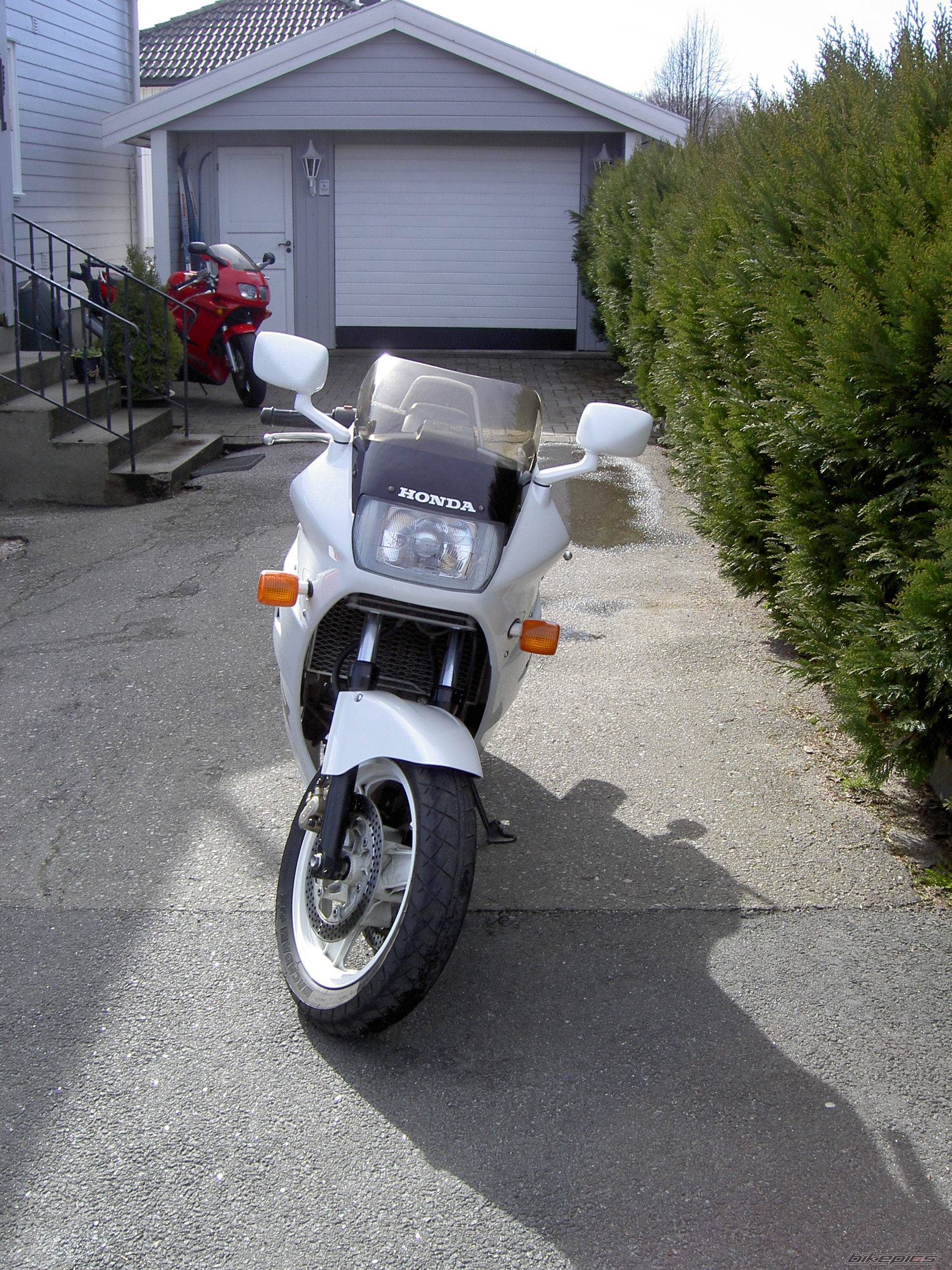 Photo 300780
