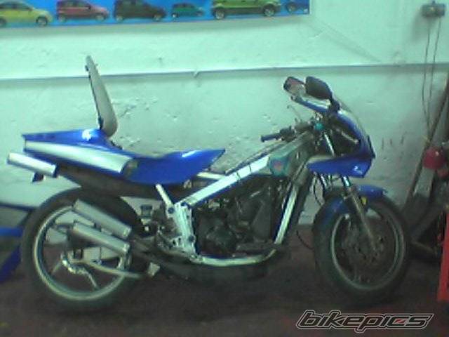 Photo 300820