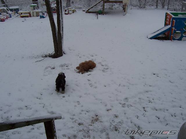 Photo 300866