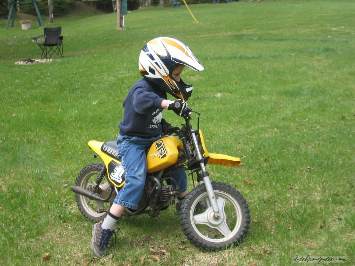 Photo 300905