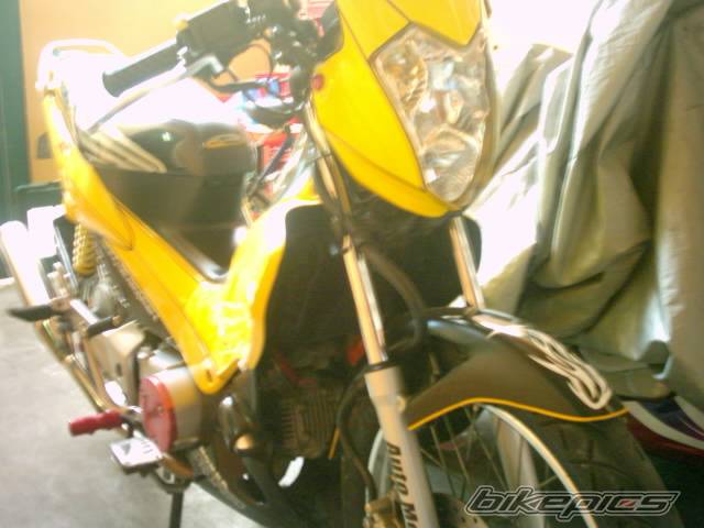 Photo 300945