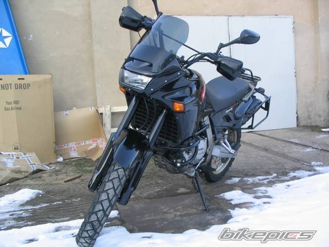 Photo 300982