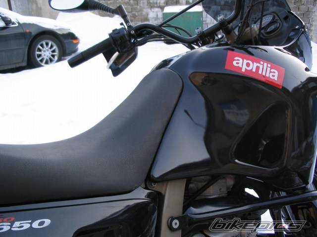 Photo 300987