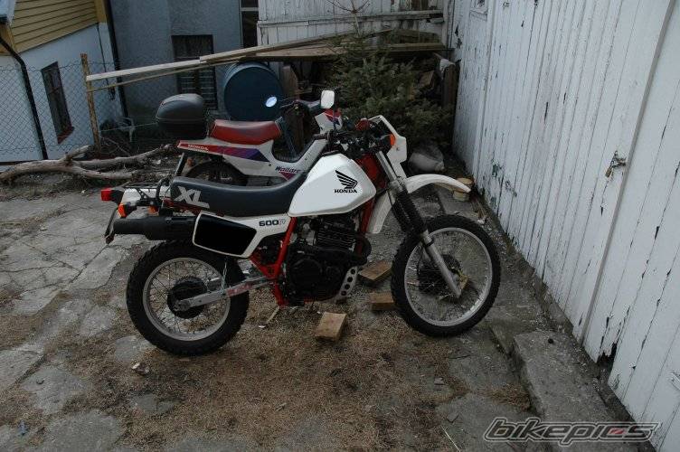 Photo 301038