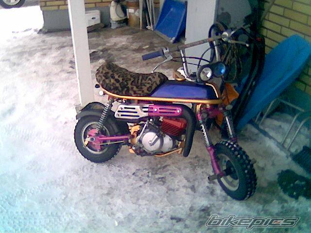 Bike Photo 301056