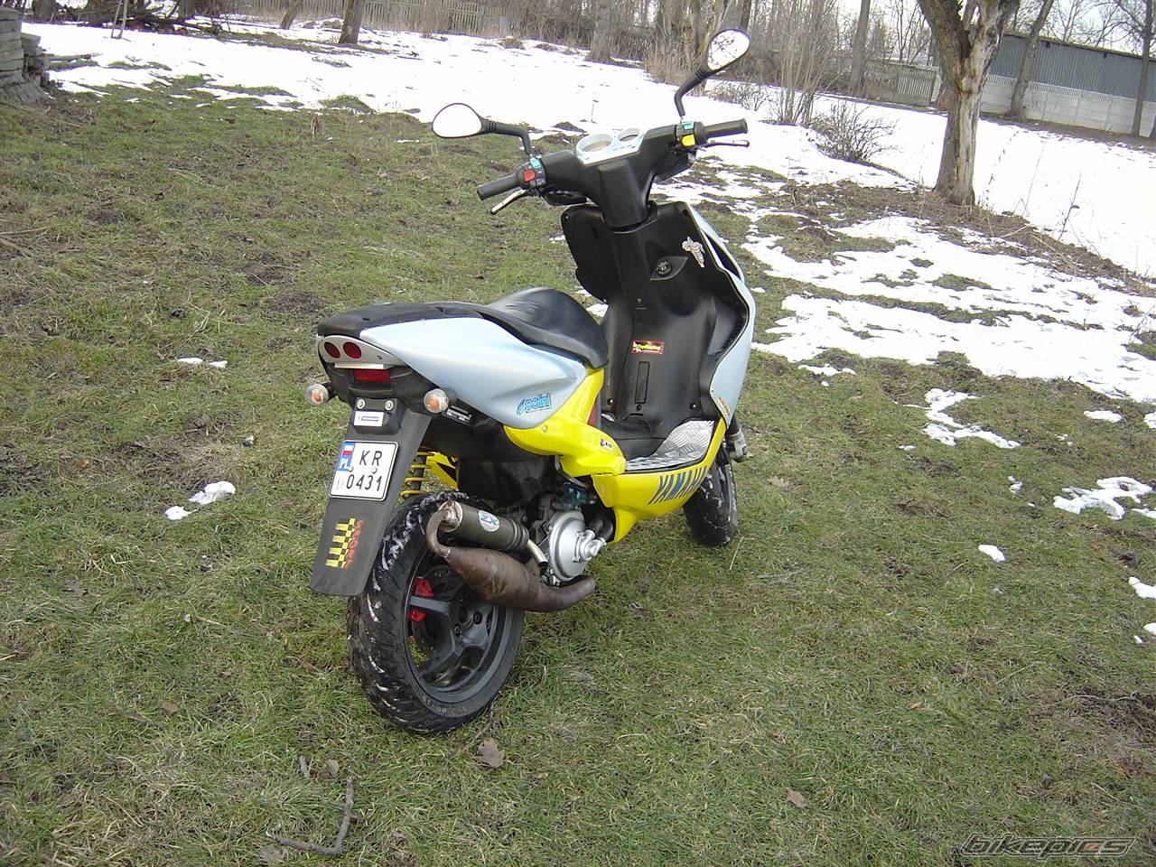 Photo 301125