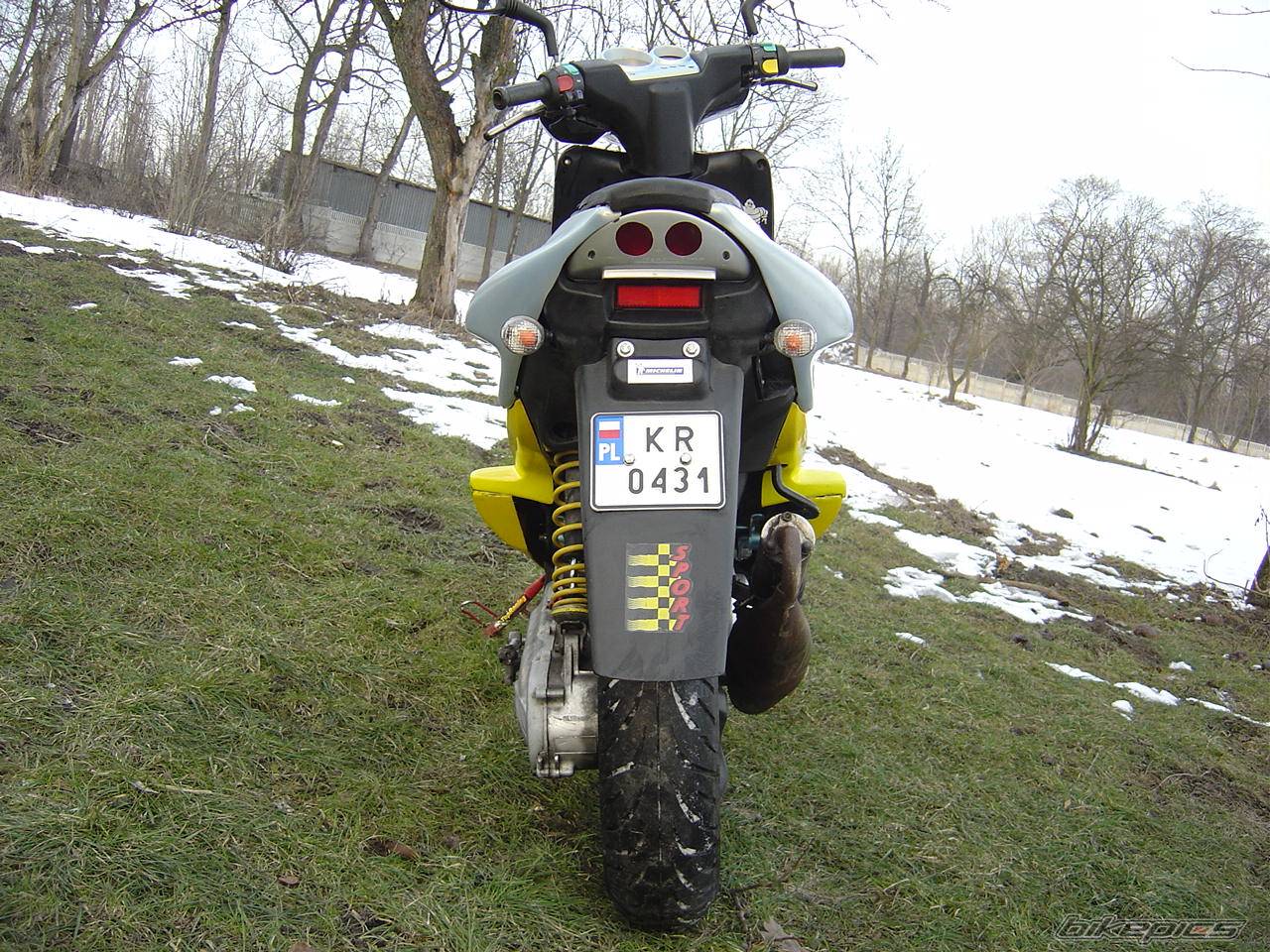 Photo 301127