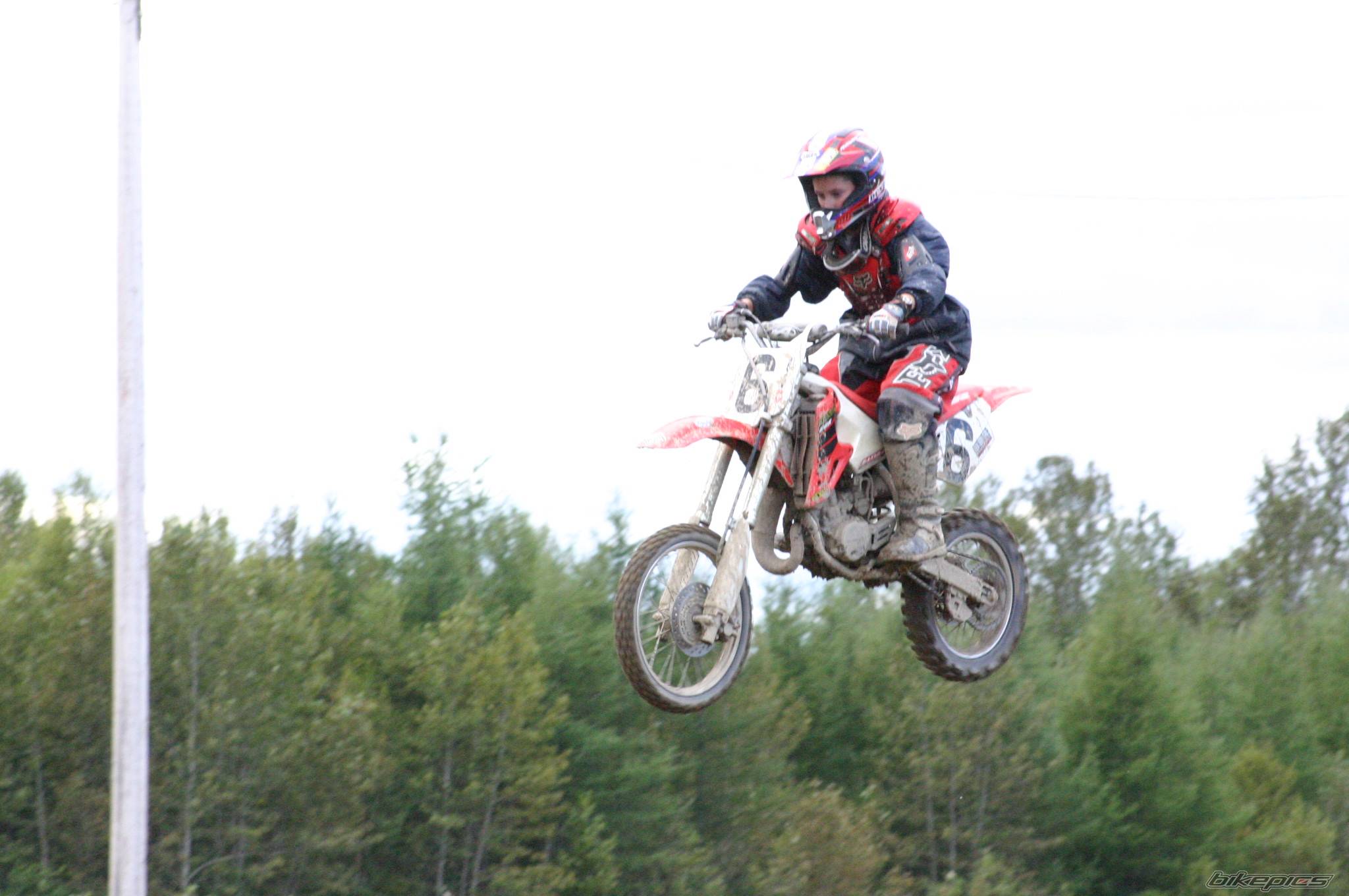 Photo 301196