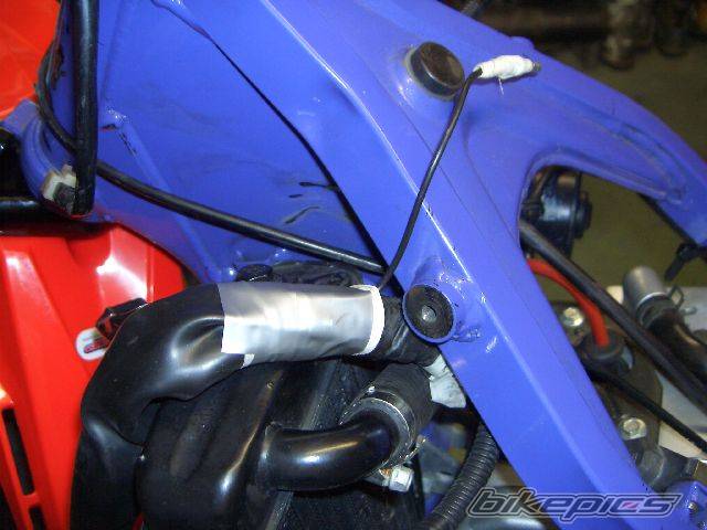 Photo 301252