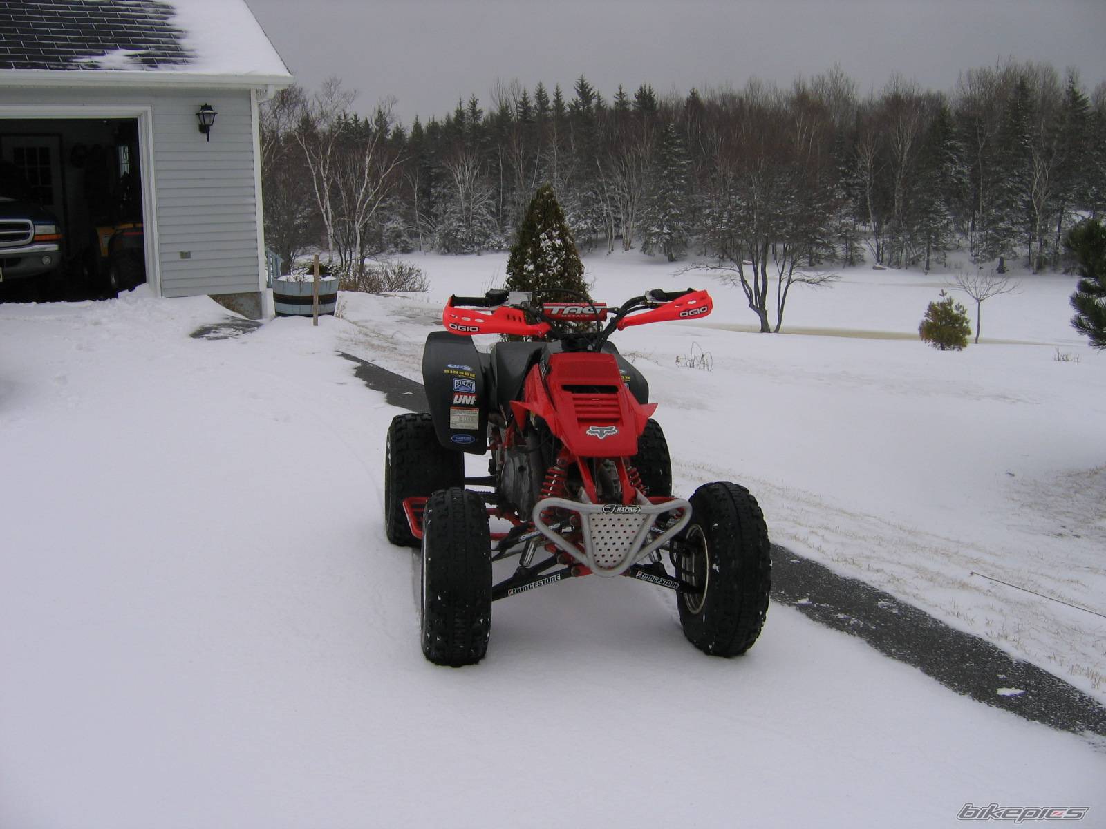 Photo 301272