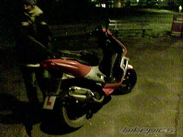 Photo 301327