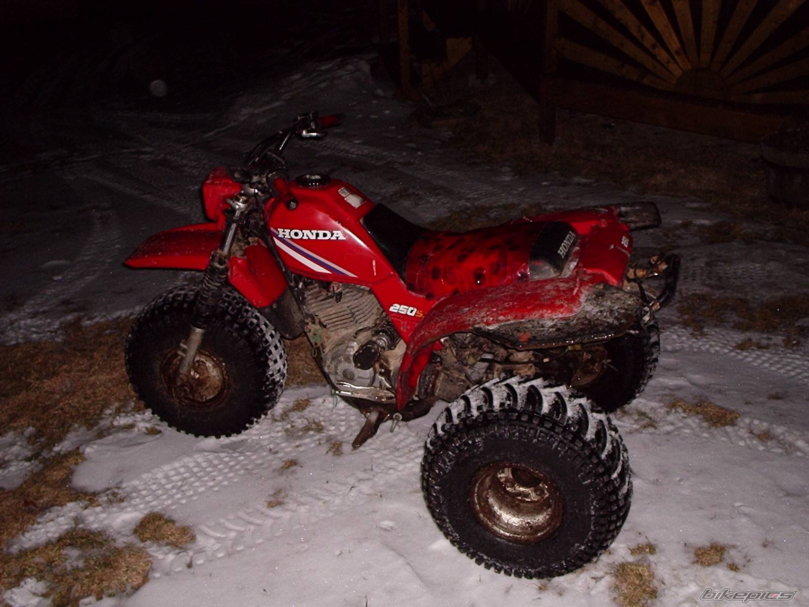 Photo 301382