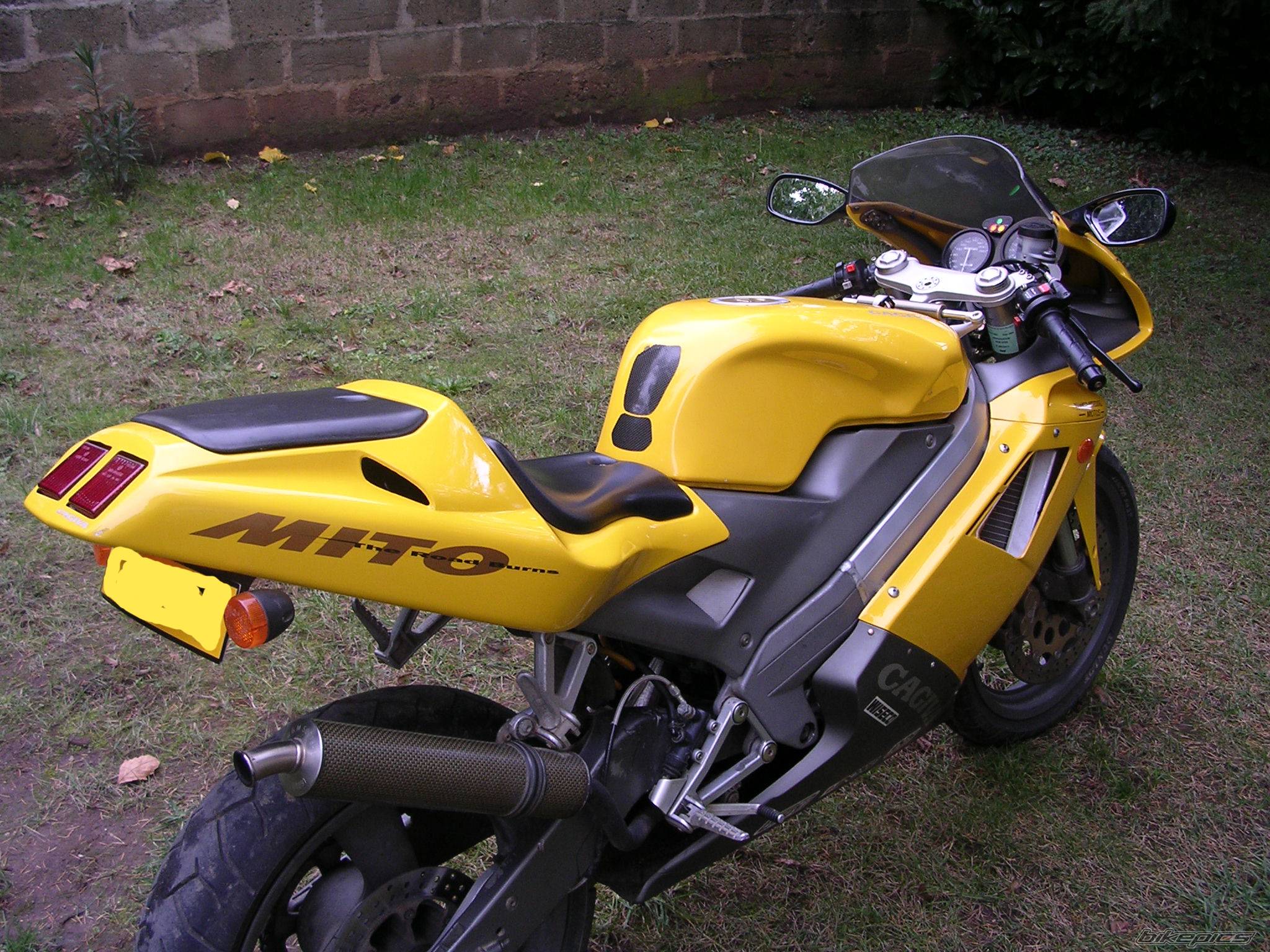 Photo 301385