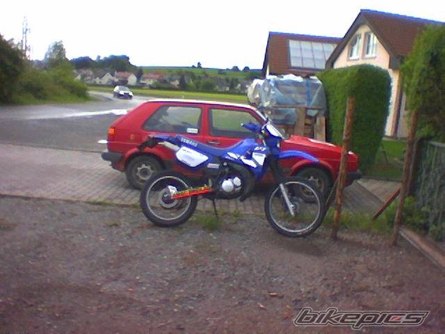 Photo 301425