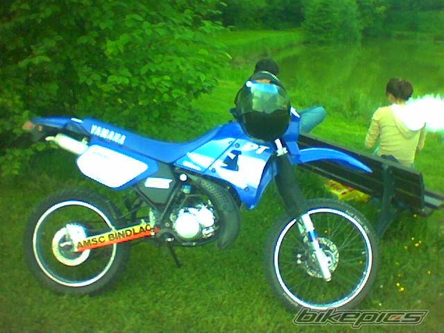 Photo 301428