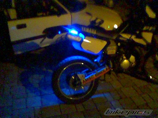 Photo 301431