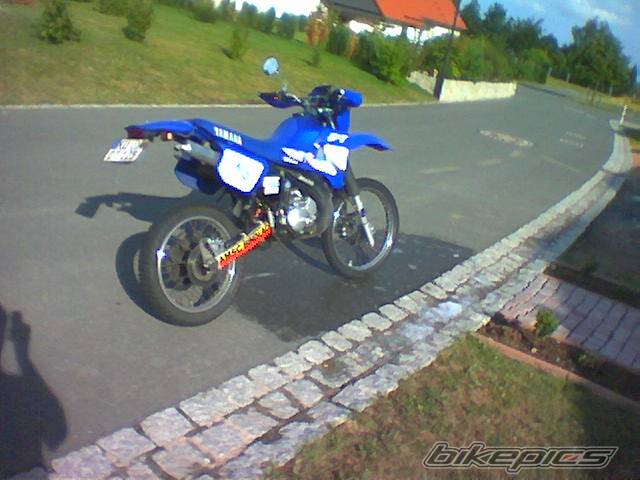 Photo 301432