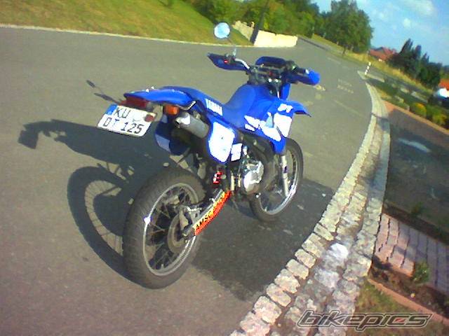 Photo 301433