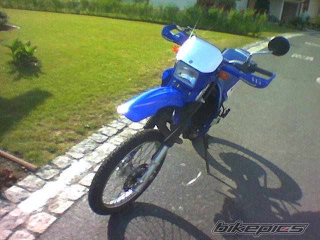 Photo 301436
