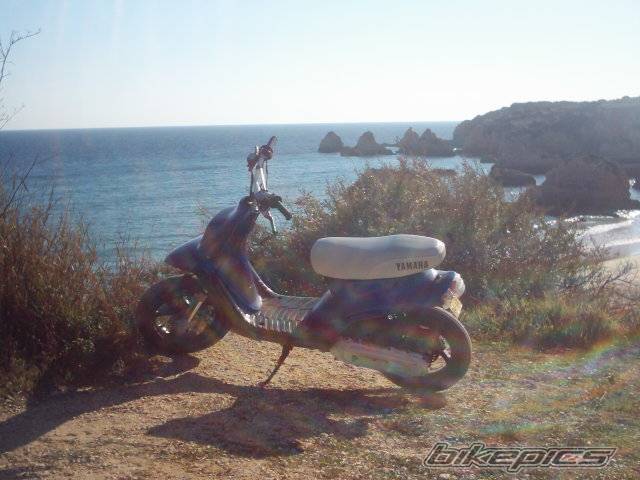Photo 301461