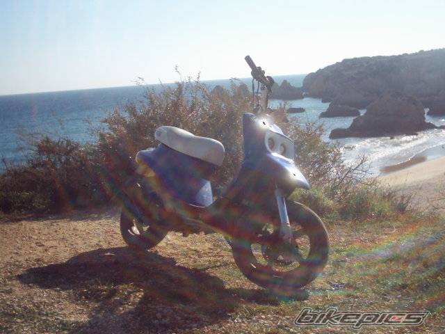 Photo 301462
