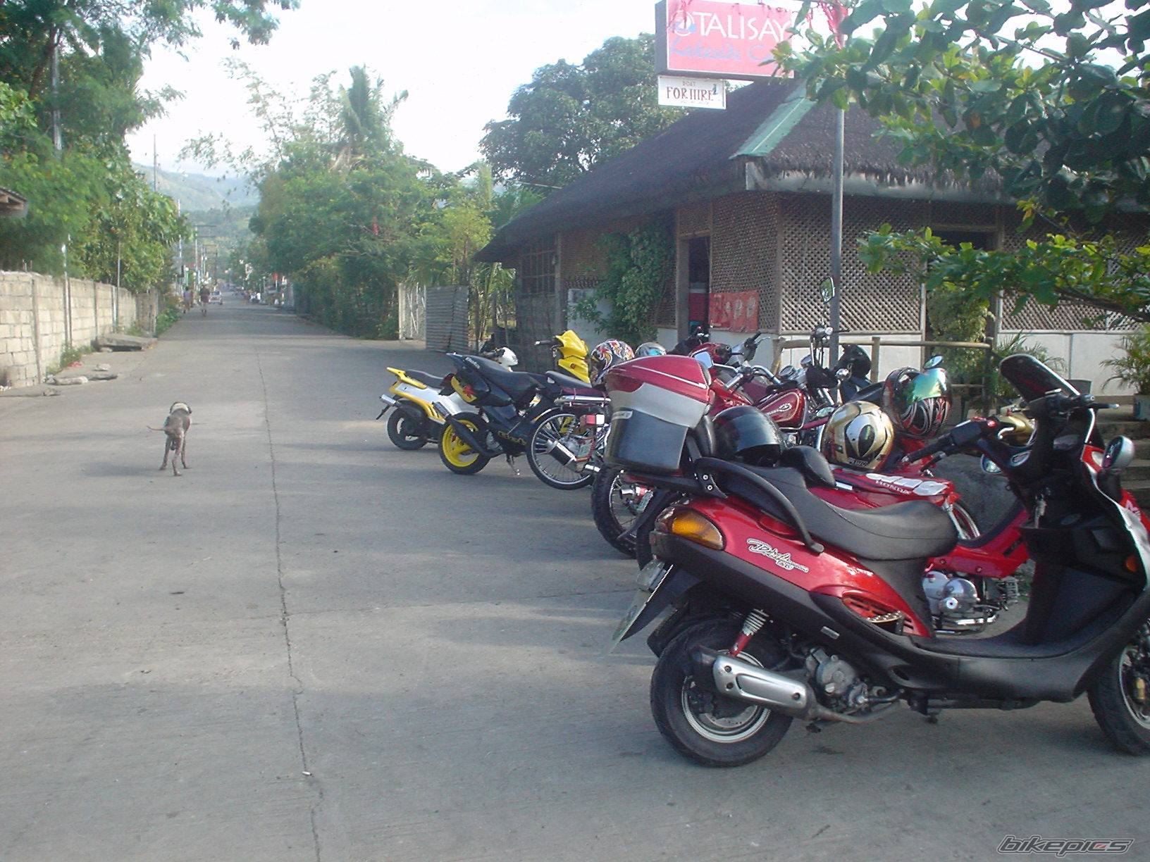 Bike Photo 301510