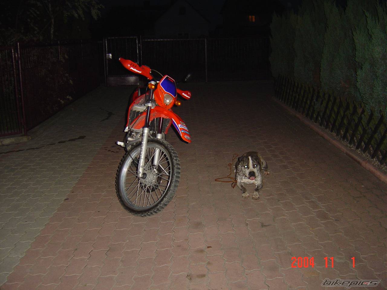 Photo 301553
