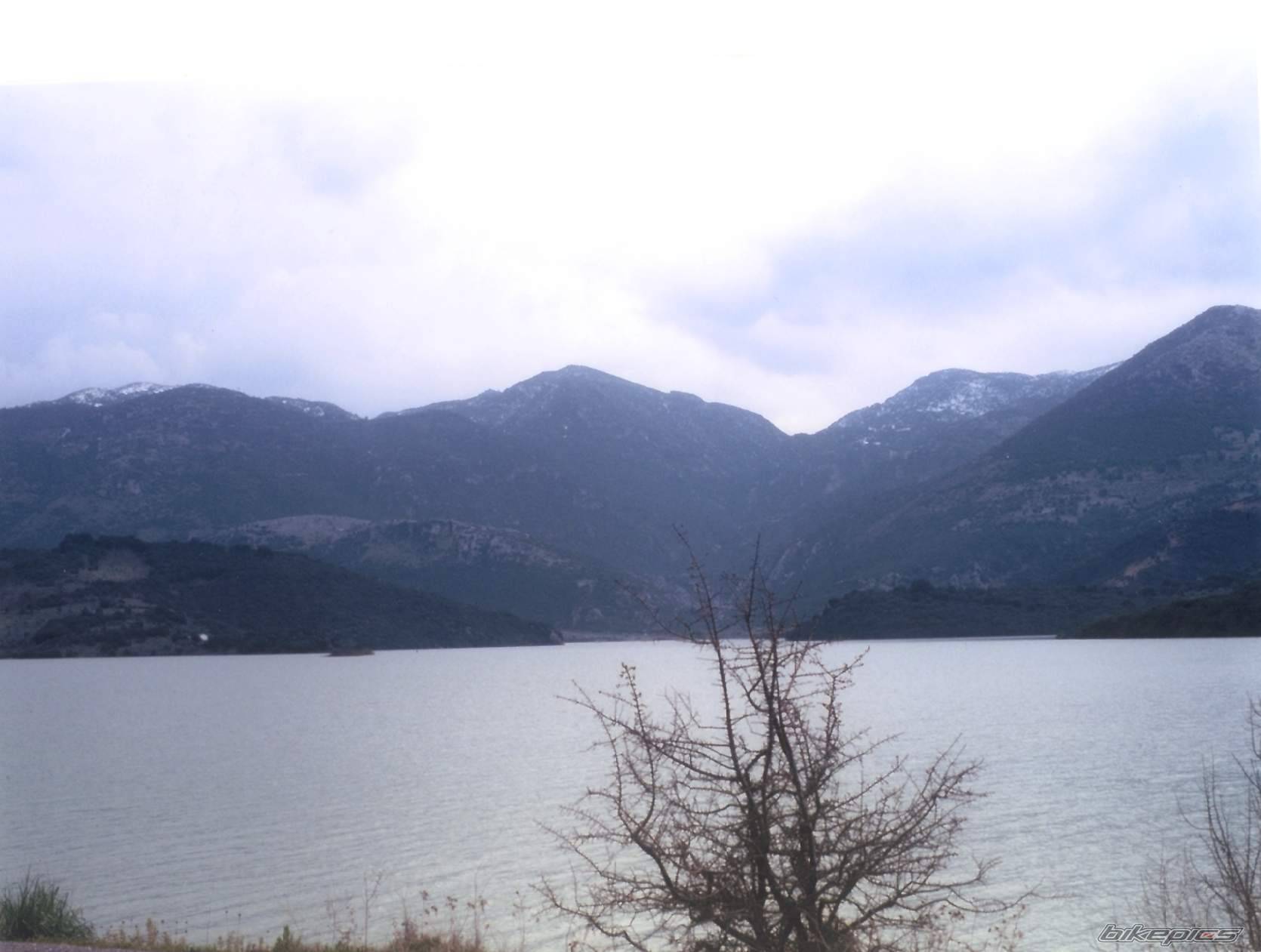 Photo 301577