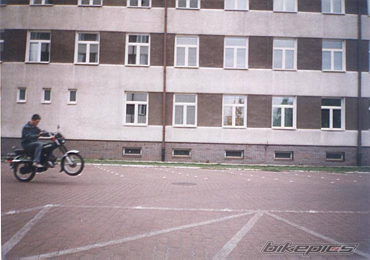 Photo 301886