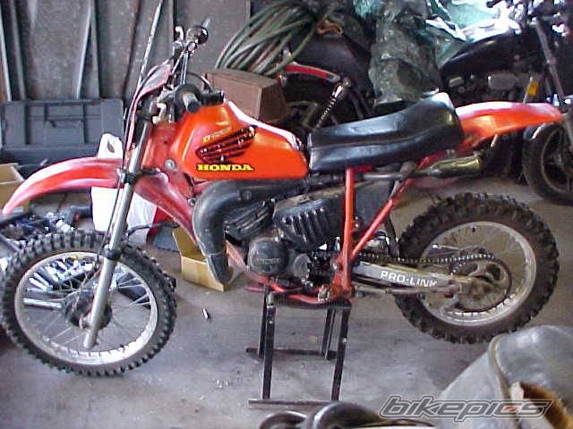 Photo 301904