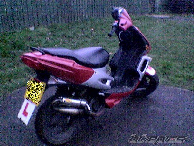 Photo 301924