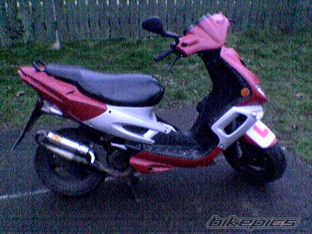 Photo 301925