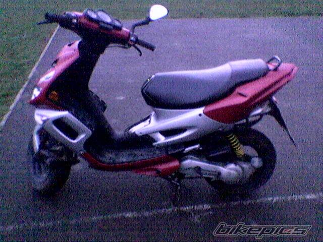 Photo 301927