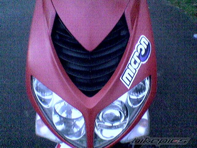 Photo 301928