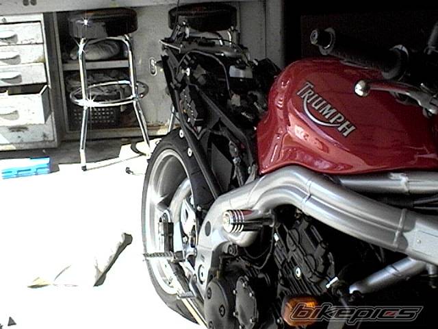 Photo 301986
