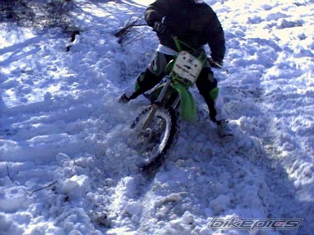 Photo 302039