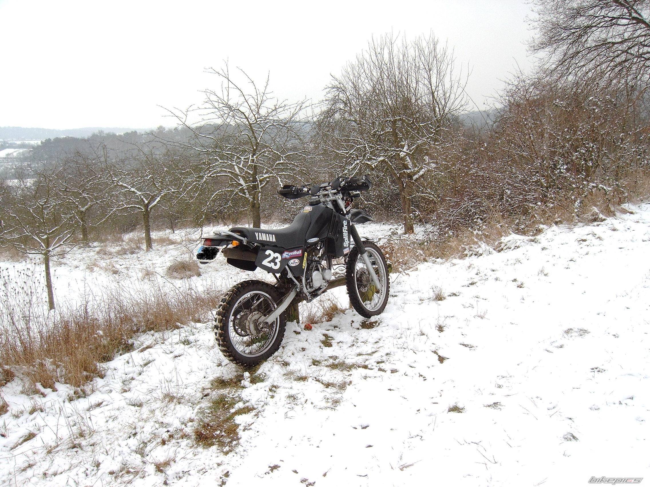 Bike Photo 302040