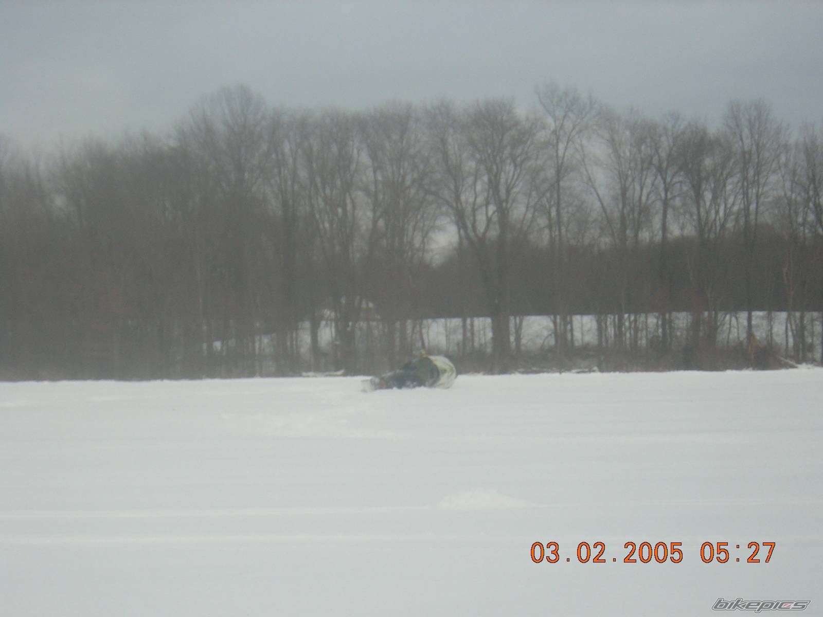 Photo 302044