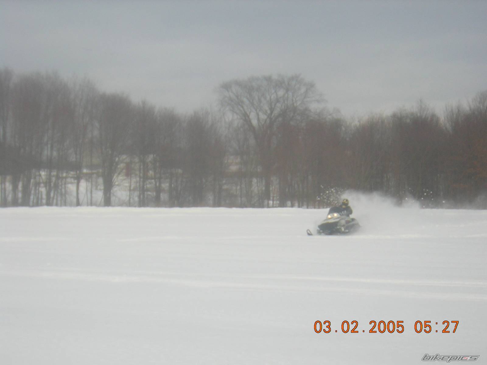 Photo 302045