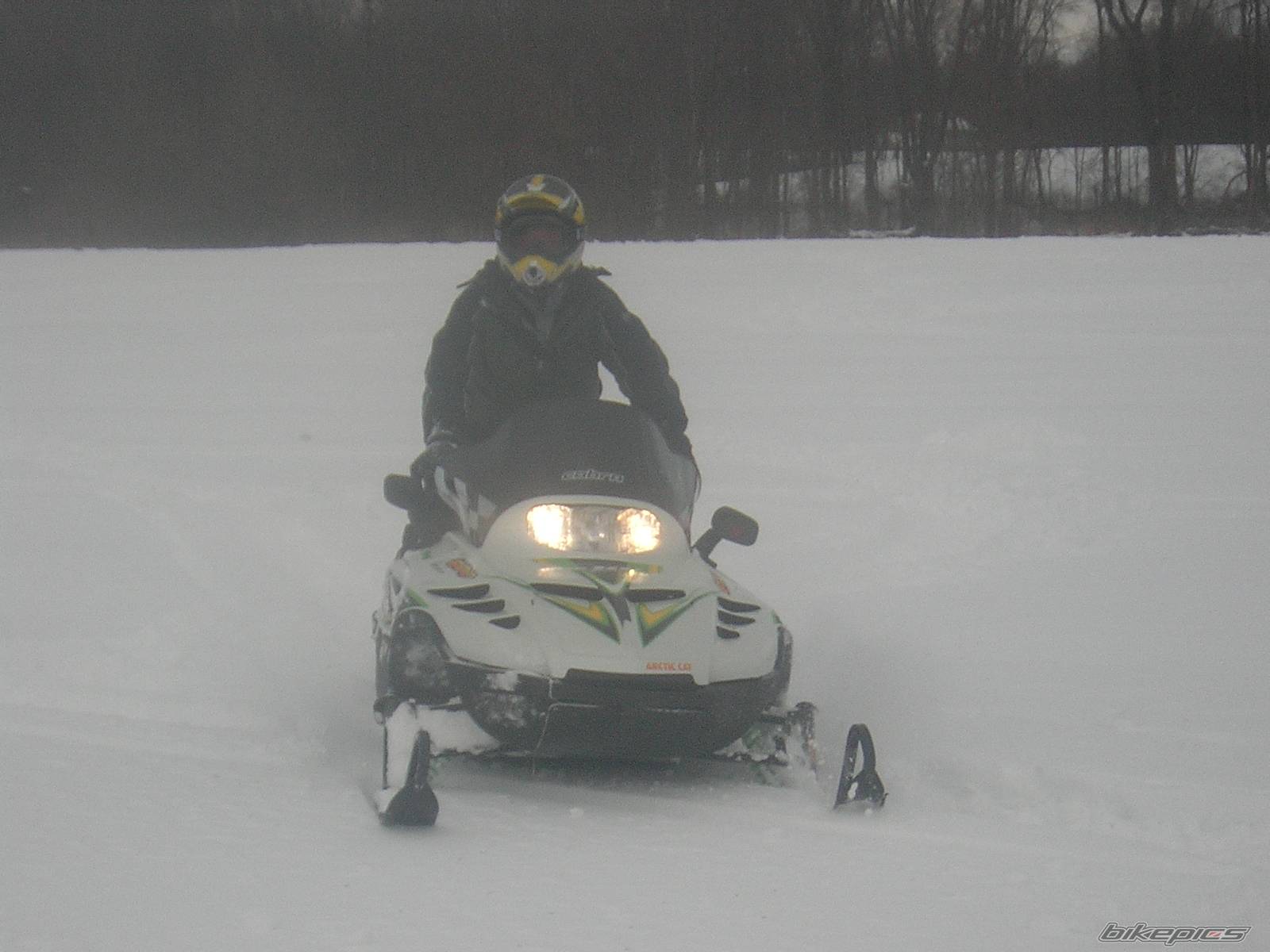 Photo 302049