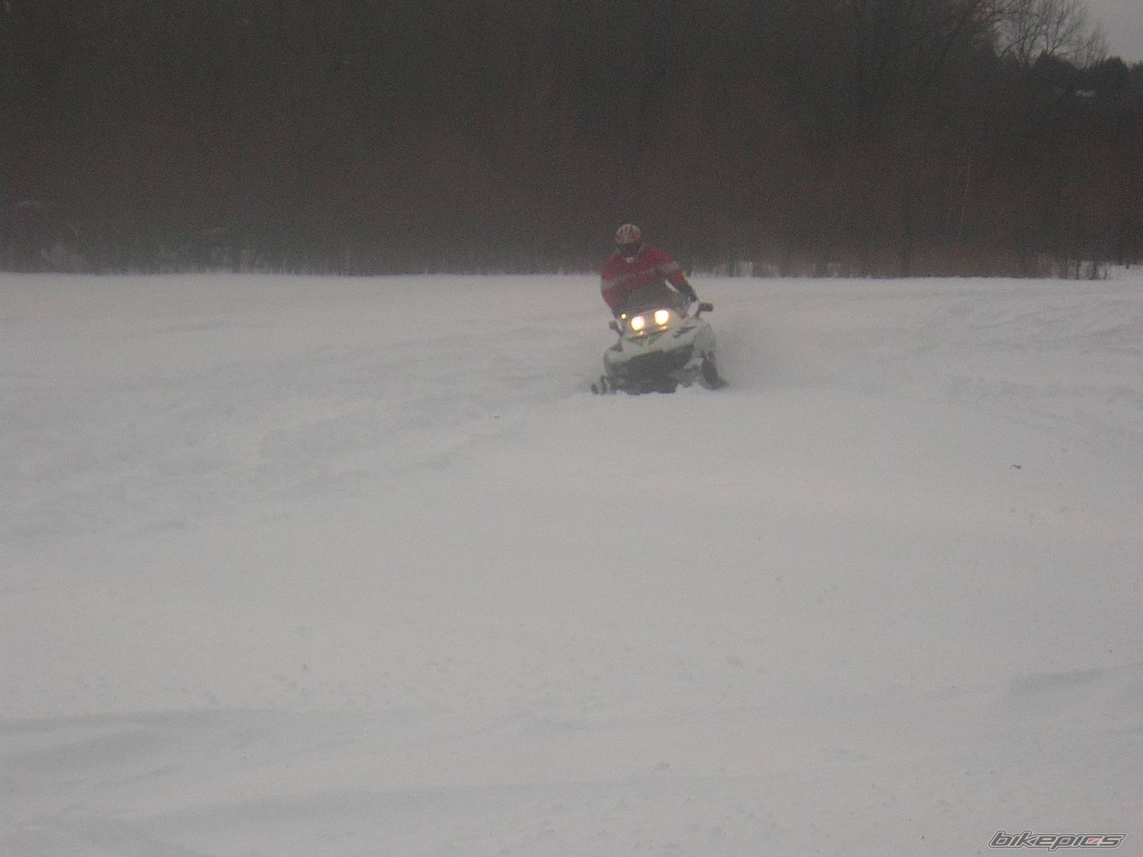 Photo 302052