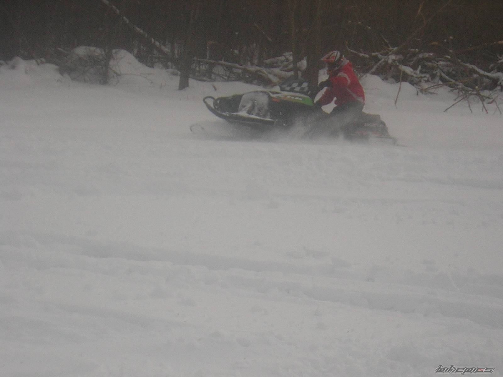 Photo 302053