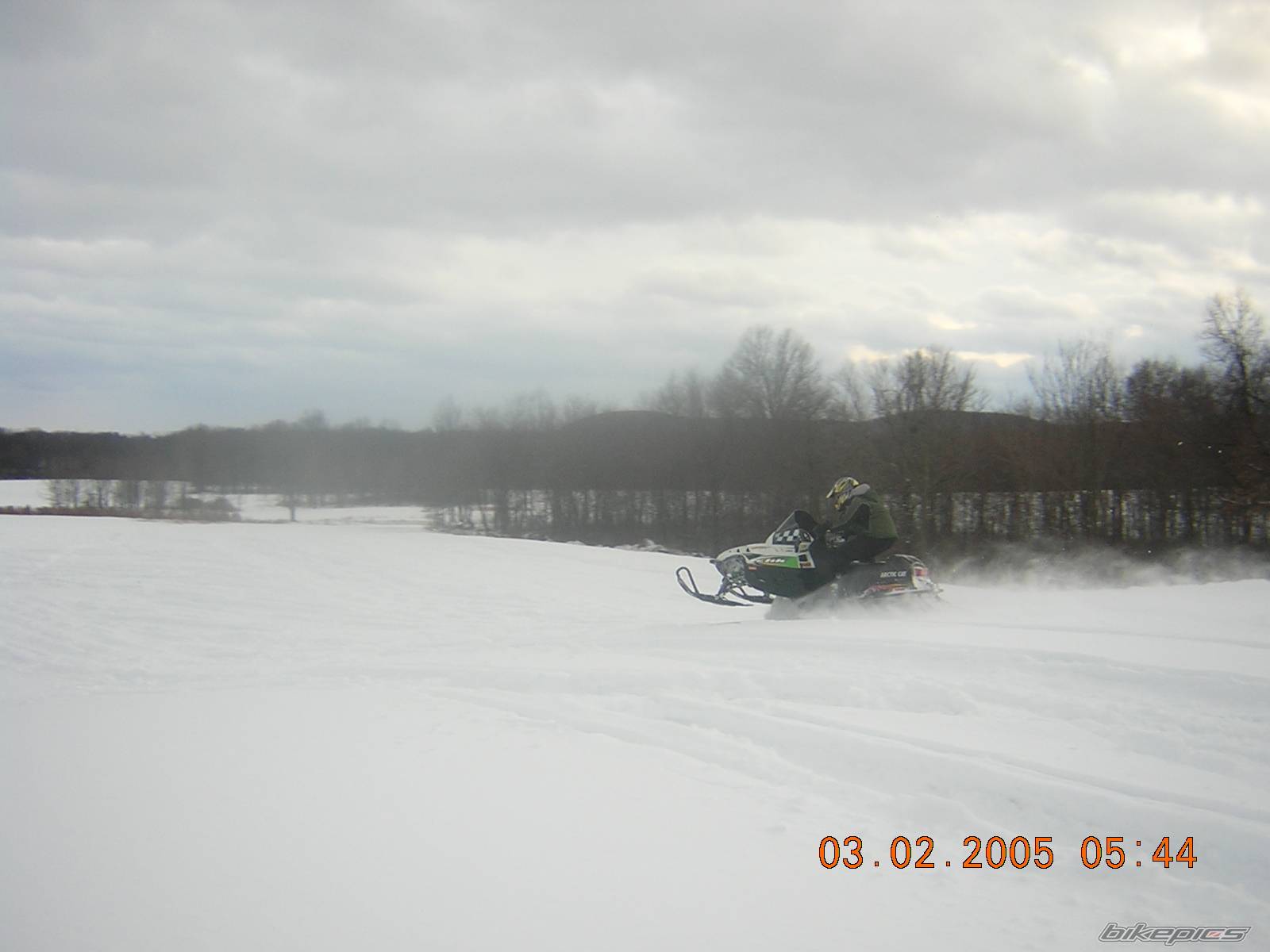 Photo 302055
