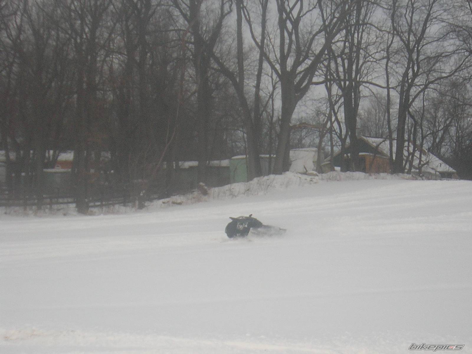 Photo 302057