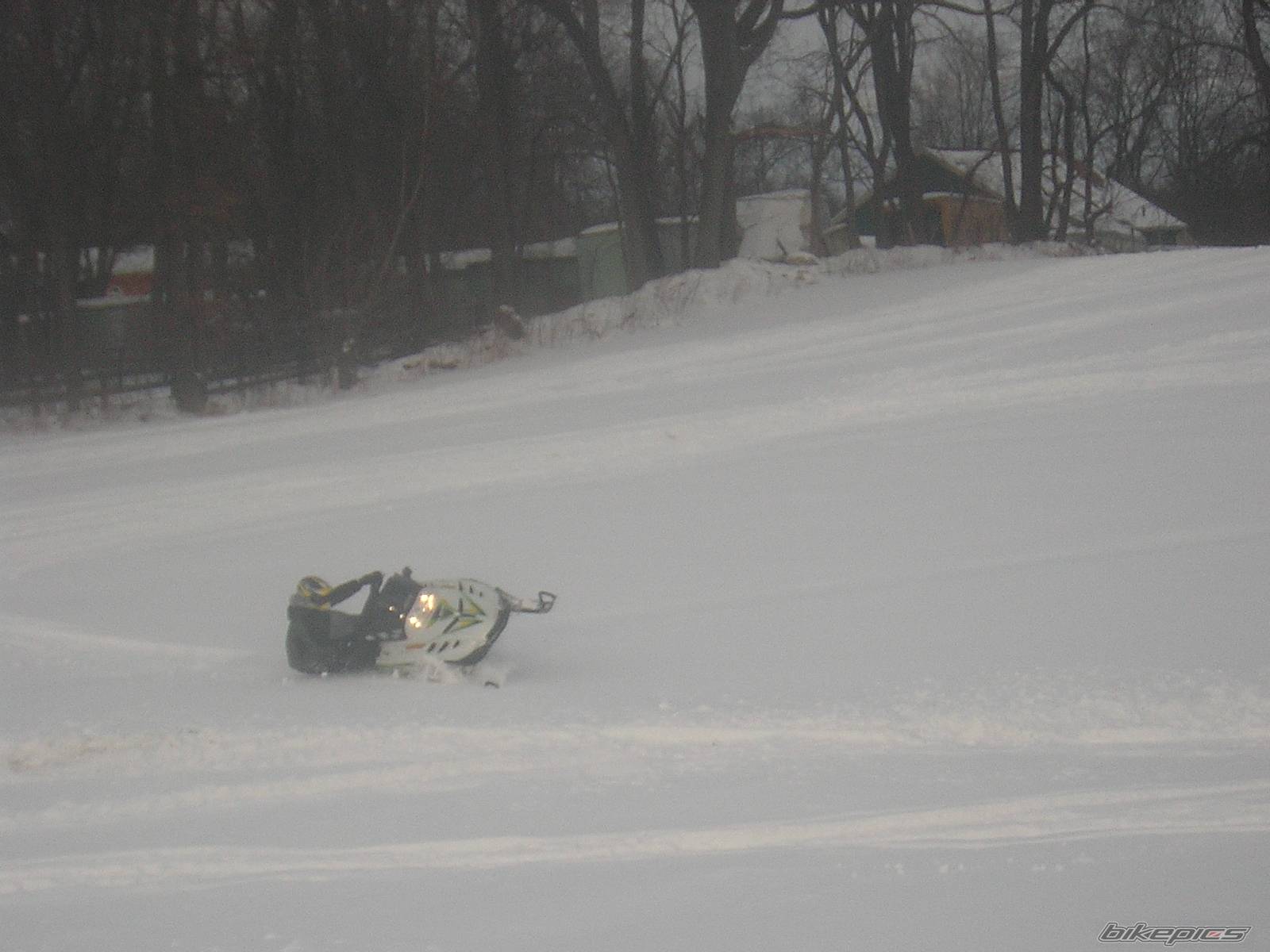 Photo 302058