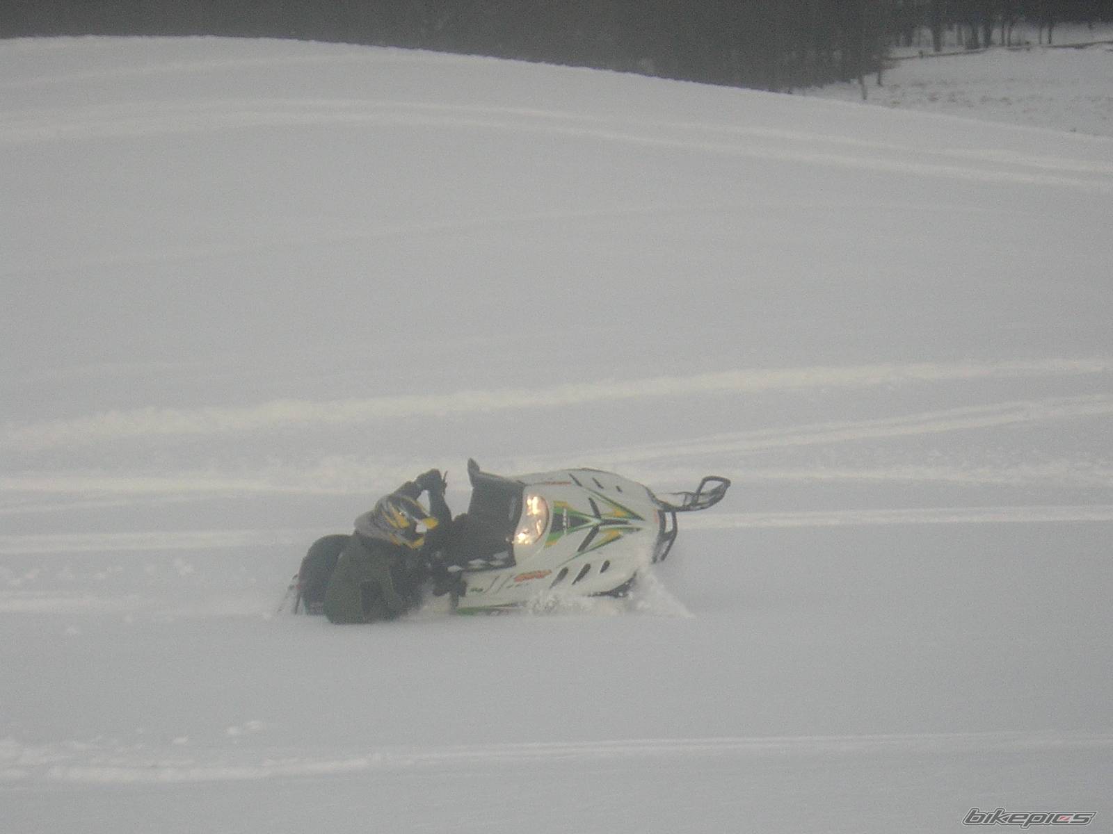Photo 302059