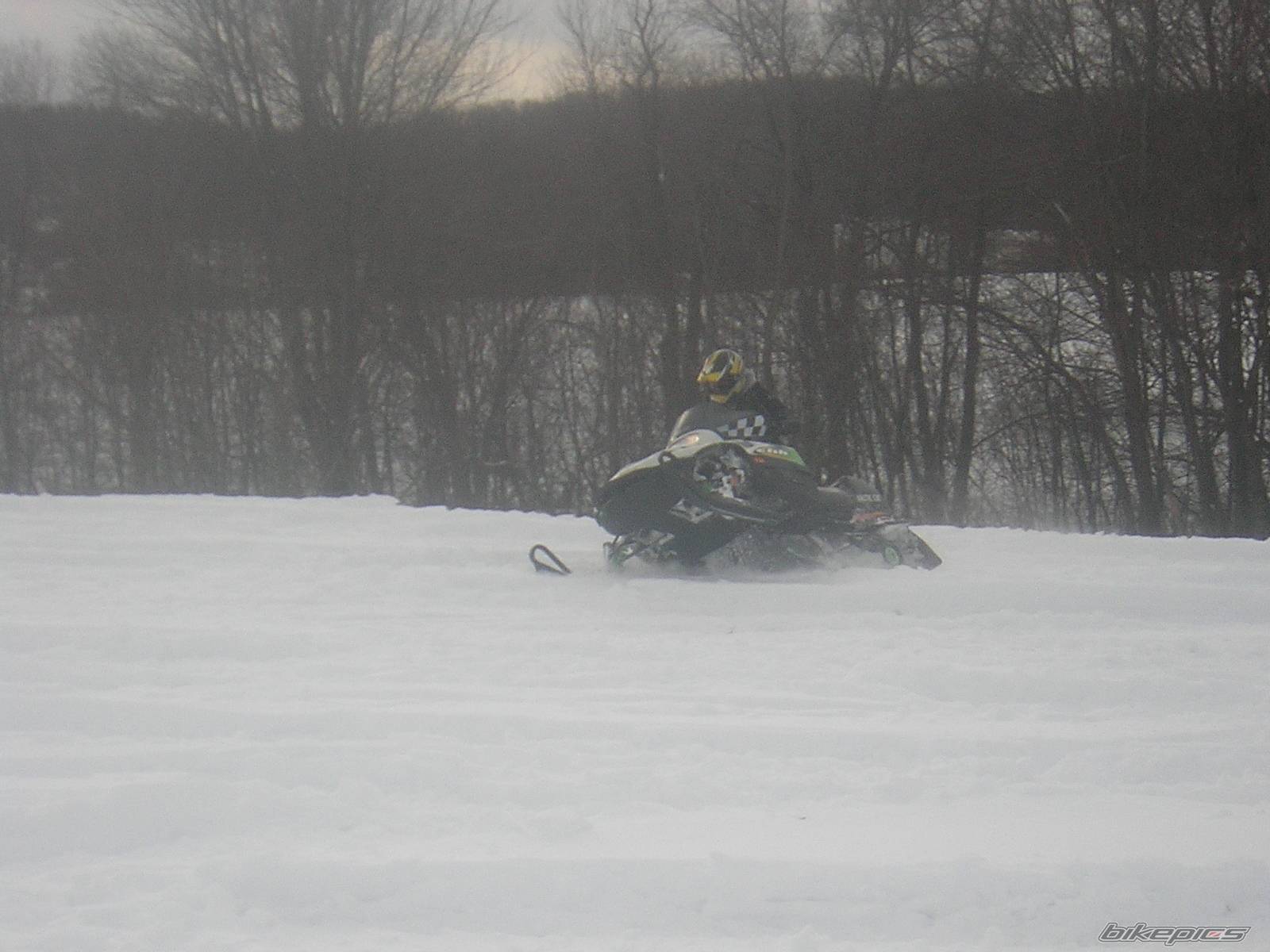 Photo 302060