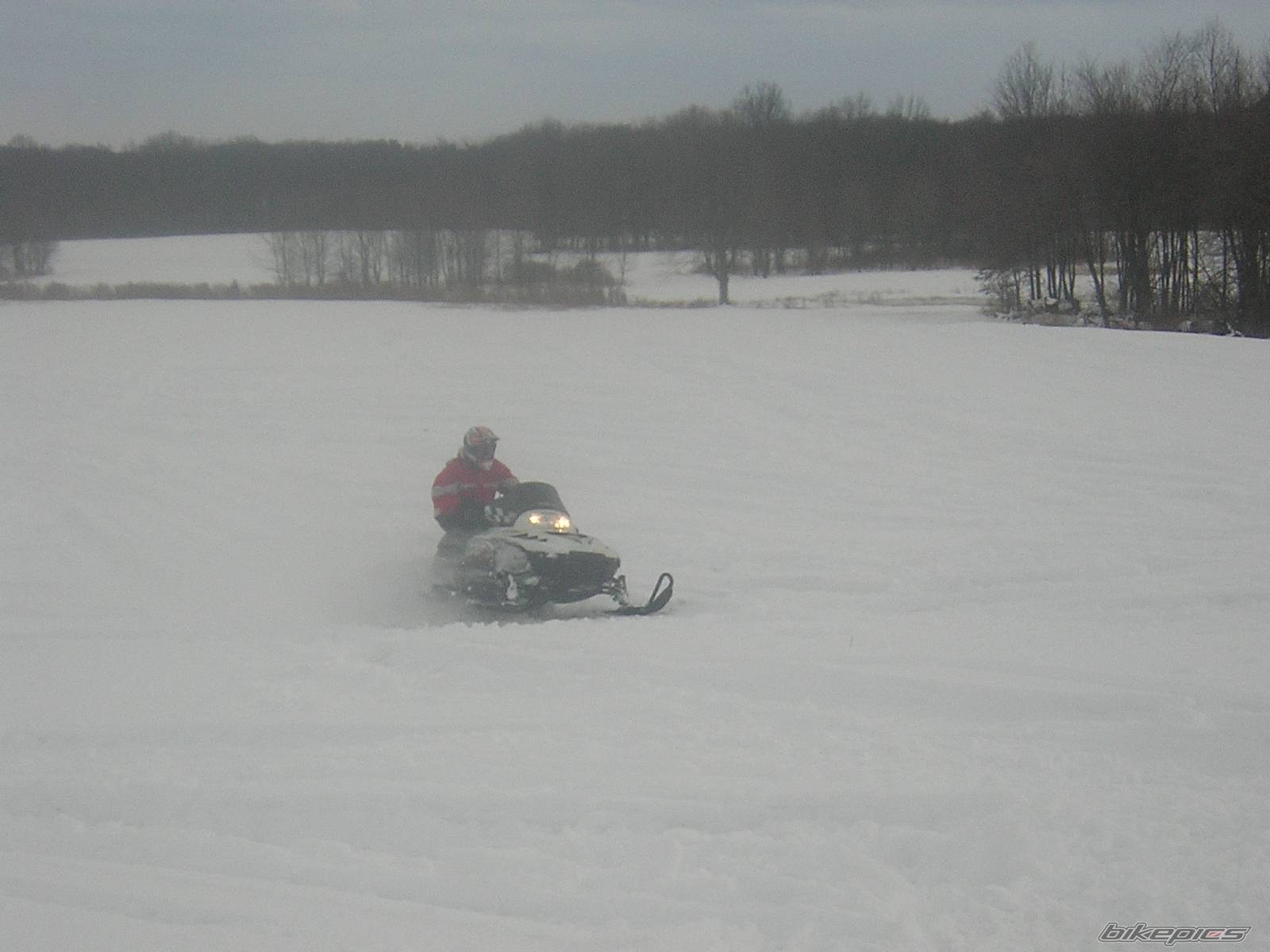 Photo 302061